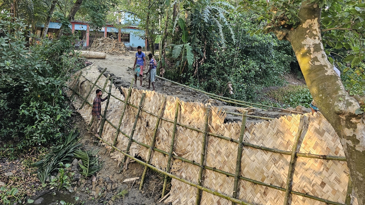 দেবিদ্বার উপজেলার ধামতি পূর্বপাড়া-কুরাখাল কান্দা গ্রামের ৫০০ বছরের পুরোনো খাল ভরাট করা হচ্ছে। ছবি : কালবেলা