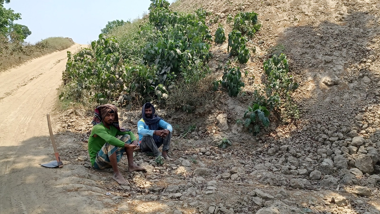 দেশের সর্বোচ্চ তাপমাত্রার রেকর্ড চুয়াডাঙ্গায়, বিশ্রাম নিচ্ছেন দুই কৃষক। ছবি : কালবেলা