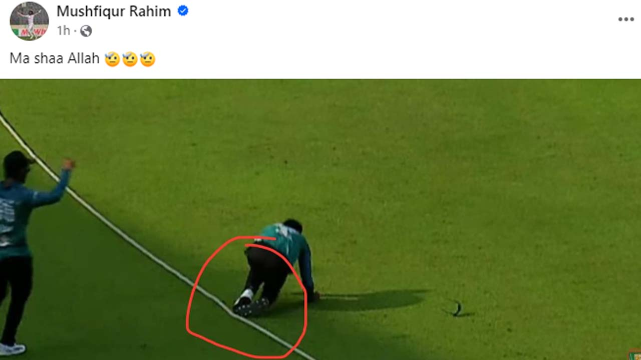 বাউন্ডারি লাইনে নেওয়া মুশফিকের ক্যাচ নিয়ে বিতর্ক চলছেই। ছবি : সংগৃহীত