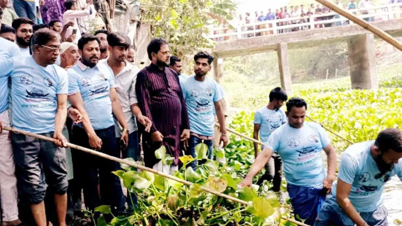 কচুরিপানা পরিষ্কারে নামলেন সংসদ সদস্য ডা. প্রাণ গোপাল দত্ত। ছবি : কালবেলা