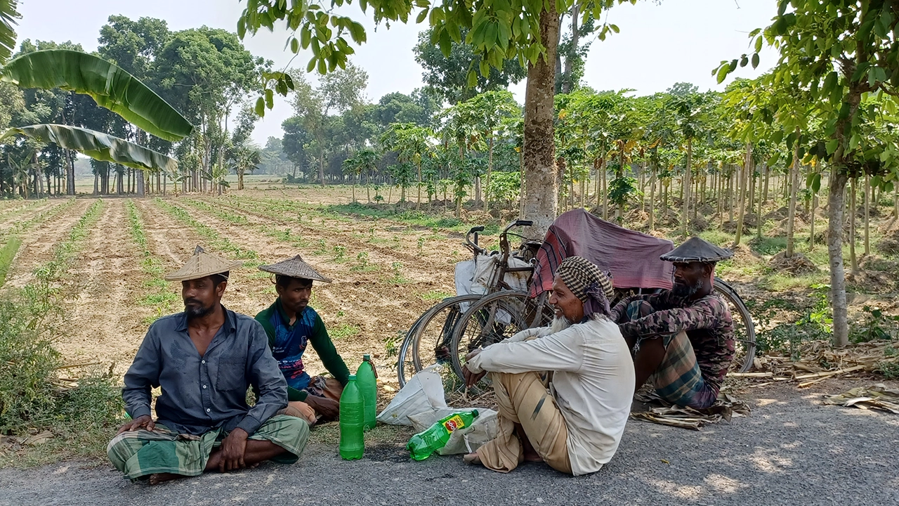 চুয়াডাঙ্গায় দাবদাহ থেকে বাঁচতে গাছের ছায়ায় বিশ্রাম নিচ্ছেন শ্রমিকরা। ছবি : কালবেলা