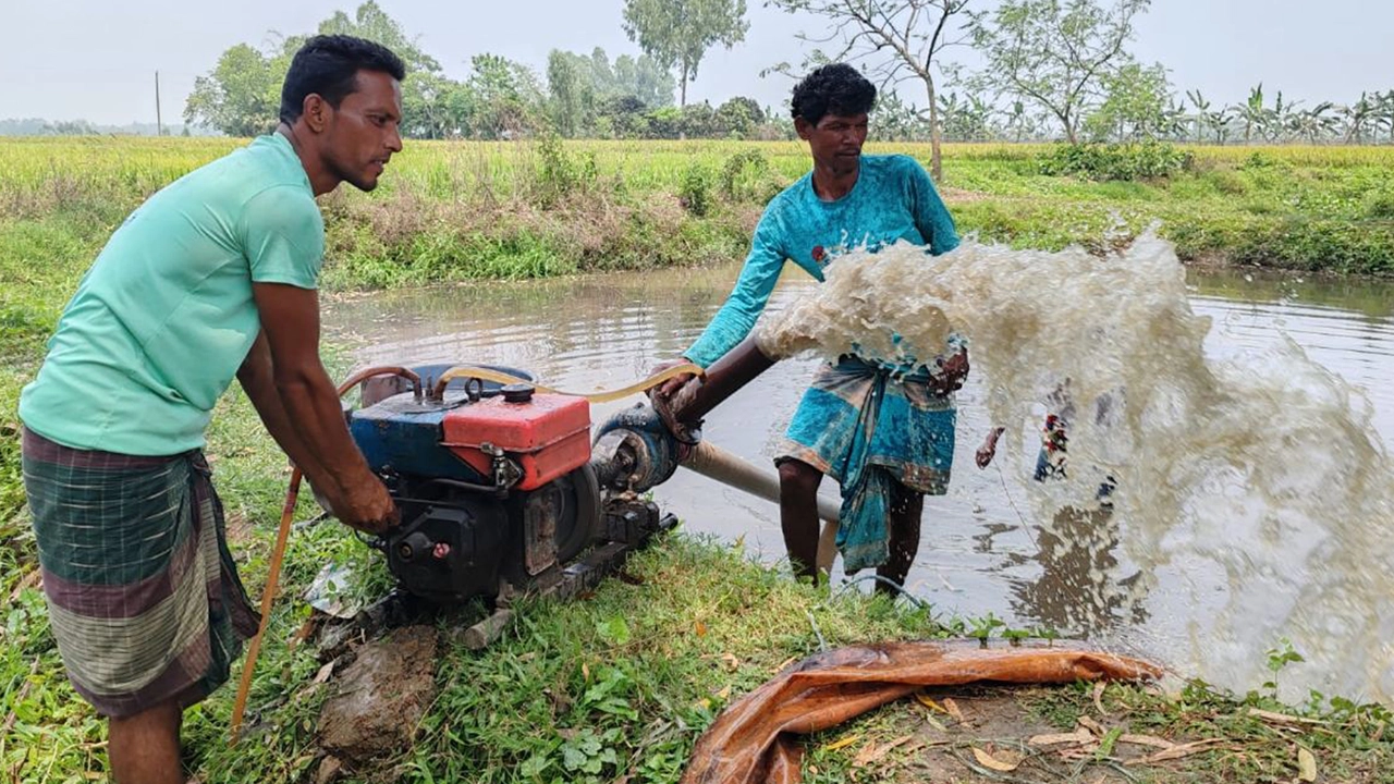 পুকুর থেকে শ্যালো মেশিনের মাধ্যমে পানি তুলে ক্ষেতে সেচ দিচ্ছেন কৃষক। ছবি : কালবেলা