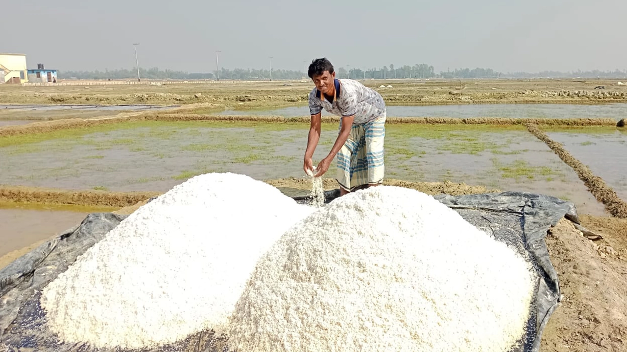 লবণ চাষে ব্যস্ত এক কৃষক। ছবি : কালবেলা