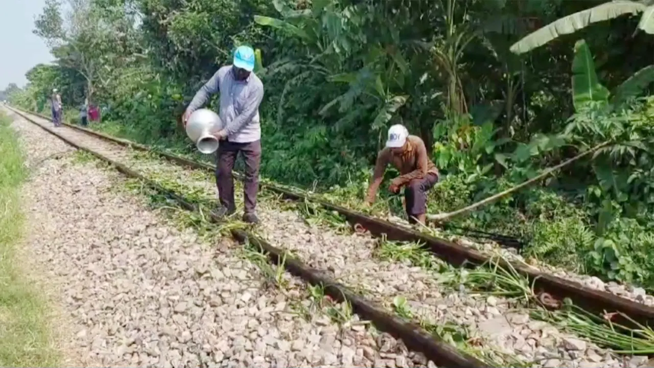 কচুরিপানা, কাদামাটি দিয়ে বেঁকে যাওয়া রেললাইনের অংশের তাপমাত্রা নিয়ন্ত্রণ করেন রেলওয়েকর্মীরা। ছবি : কালবেলা