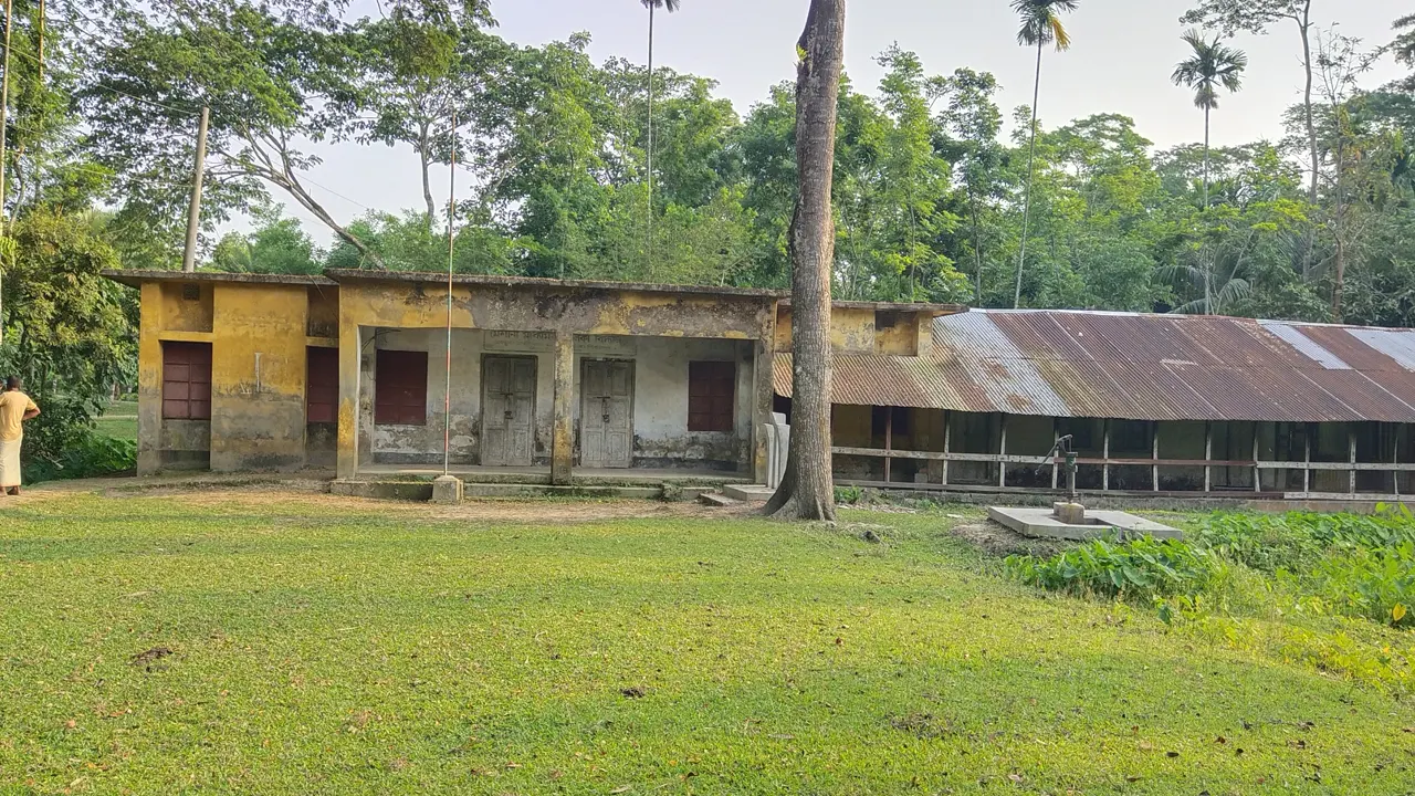 নেছারাবাদ মৈশানী মাধ্যমিক বালিকা বিদ্যালয়। ছবি : কালবেলা