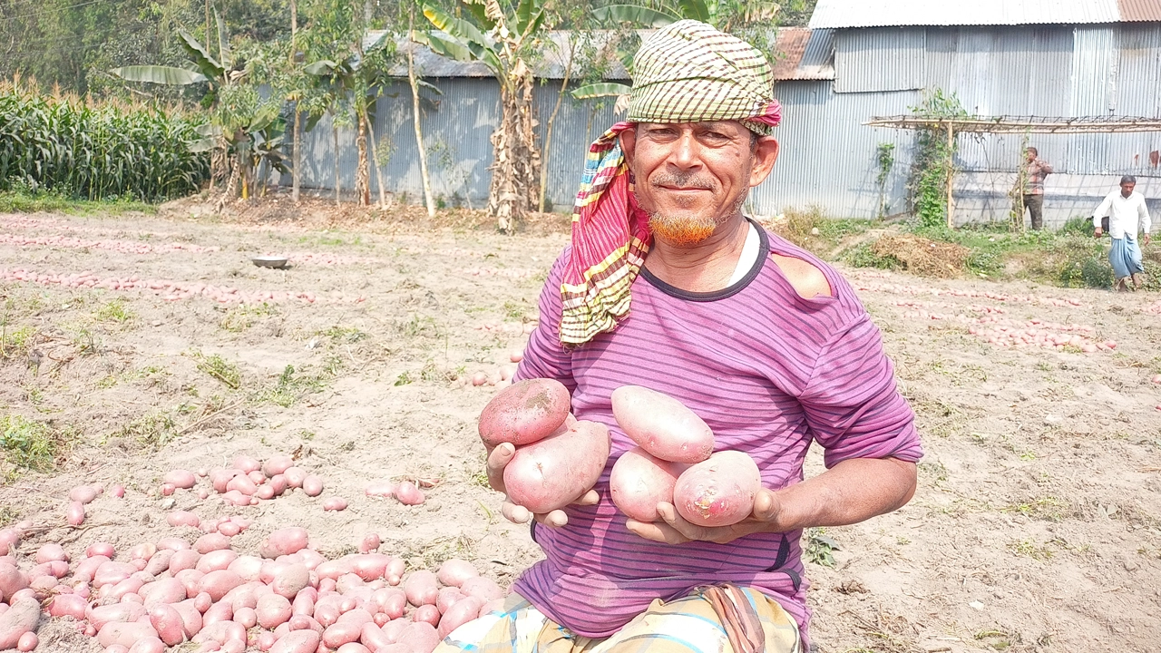 আলু হাতে কৃষক। ছবি : কালবেলা