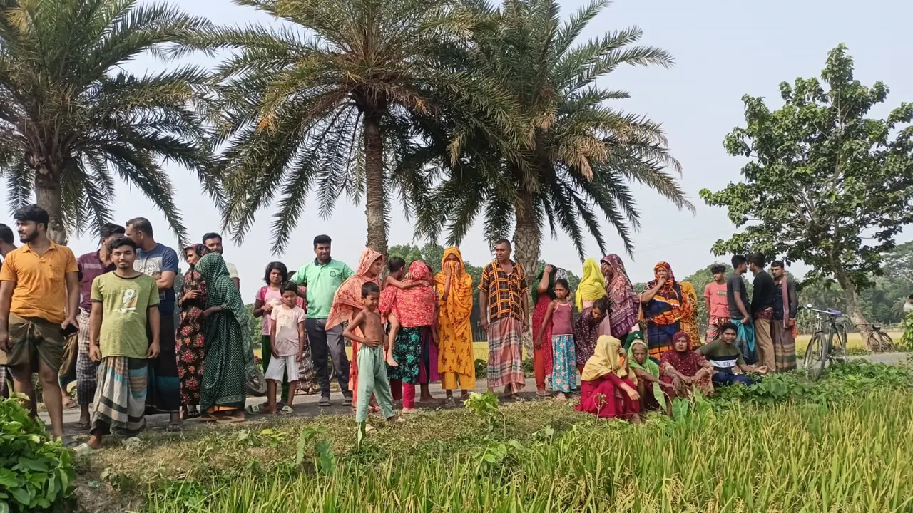 ধানক্ষেতে যুবকের মরদেহ দেখতে স্থানীয়দের ভিড়। ছবি : কালবেলা