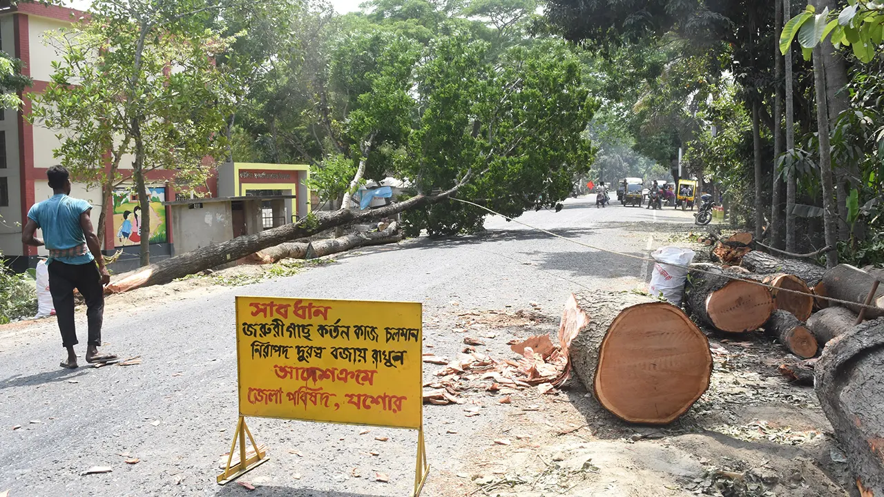 তীব্র তাপপ্রবাহের মধ্যেই সাইন বোর্ড দিয়ে চলছে যশোর-নড়াইল সড়কের পাশের গাছ কাটার কাজ। ছবি : কালবেলা