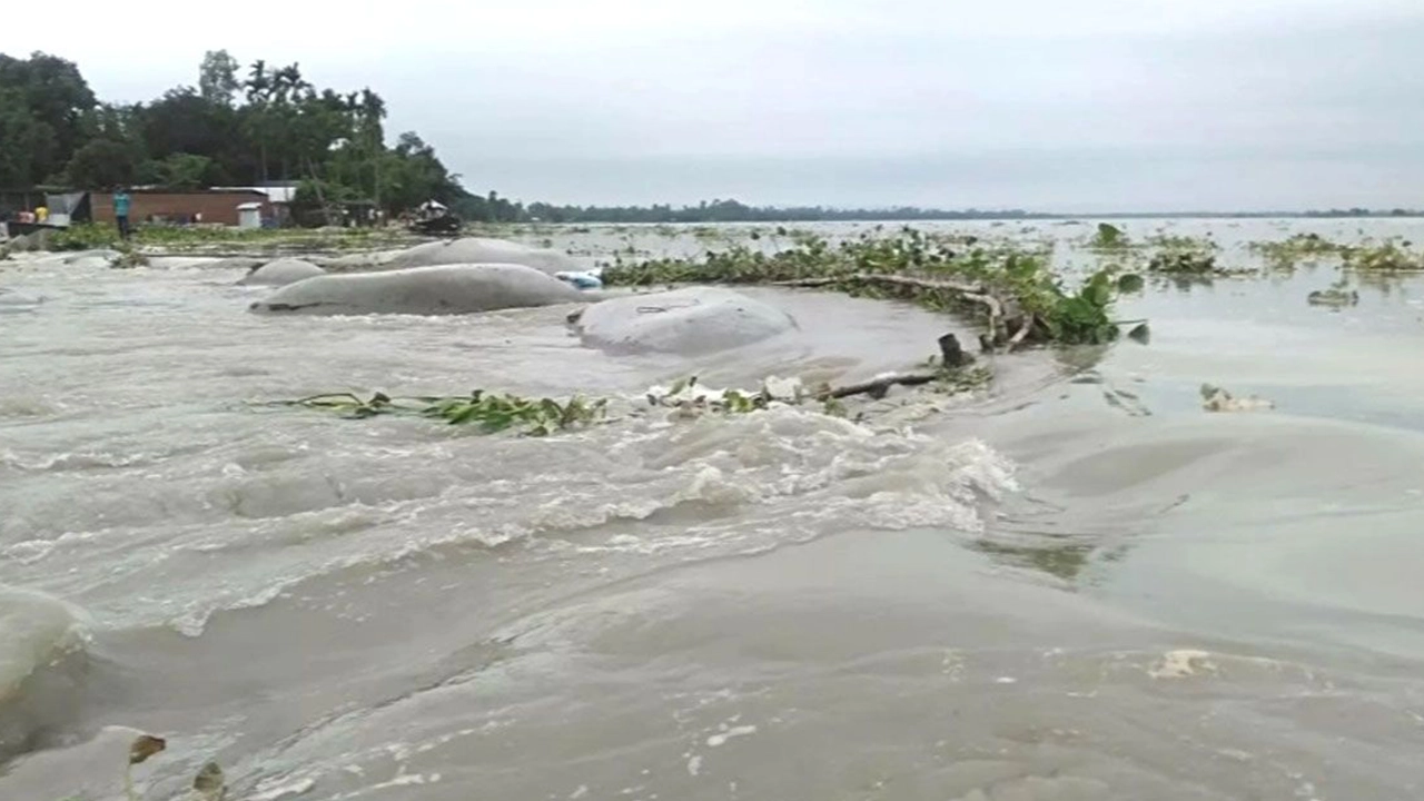 সিলেটের বন্যার পুরোনো ছবি।