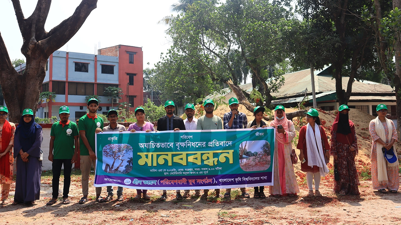 বাকৃবিতে বৃক্ষনিধনের প্রতিবাদে মানববন্ধন। ছবি : কালবেলা