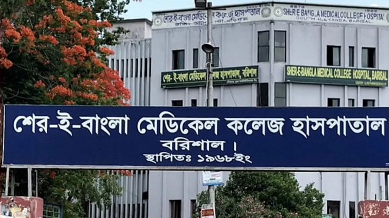 বজ্রপাতে সাত জেলায় দশজনের মৃত্যু