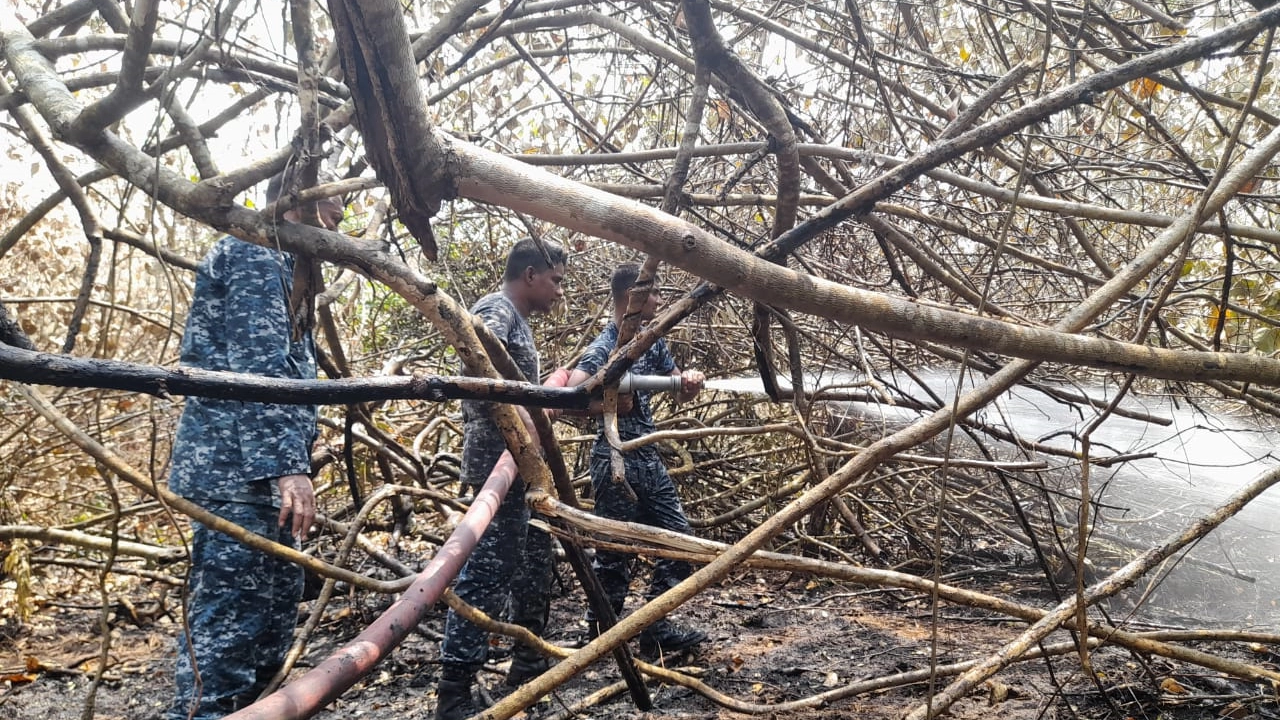 সুন্দরবনের আগুন নিয়ন্ত্রণে কাজ করছে ফায়ার সার্ভিস, কোস্টগার্ড ও নৌবাহিনীর সদস্যরা। ছবি : কালবেলা