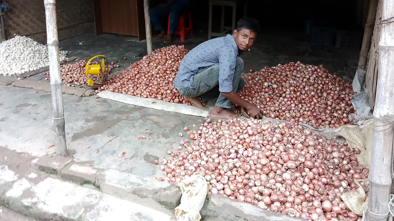 আমদানির খবরে কমলো পেঁয়াজের দাম। ছবি : কালবেলা