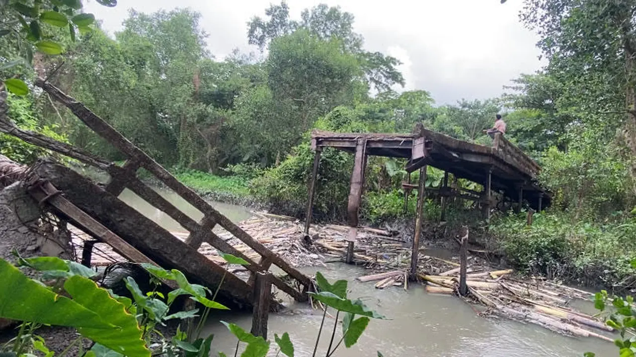 সেতু ভেঙে পড়ে গেছে খালে। ছবি : কালবেলা