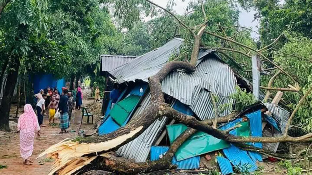 কালবৈশাখীর ঝড়ে ফেনীর উপকূলীয় সোনাগাজী উপজেলায় ব্যাপক ক্ষয়ক্ষতি হয়। ছবি : কালবেলা