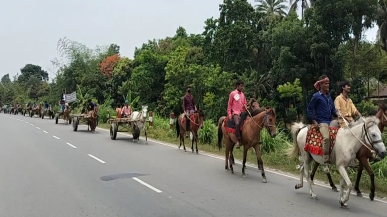 ঘোড়ার গাড়ি নিয়ে নির্বাচনী প্রচারে চেয়ারম্যান প্রার্থী। ছবি : কালবেলা