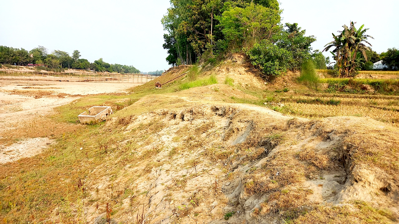 নওগাঁর মান্দায় ১২ বছরেও সংস্কার করা হয়নি ভাঙা বেড়িবাঁধ। ছবি : কালবেলা