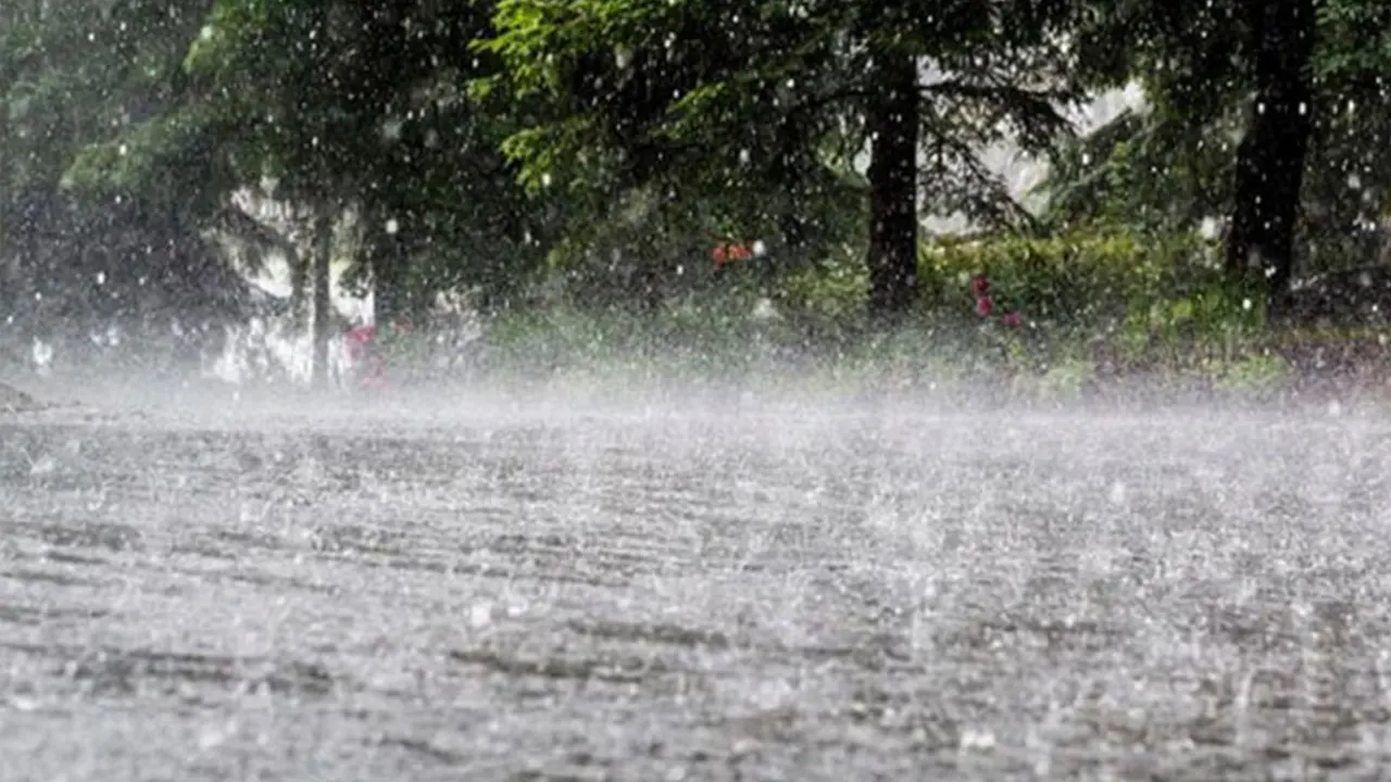 পুরোনো ছবি