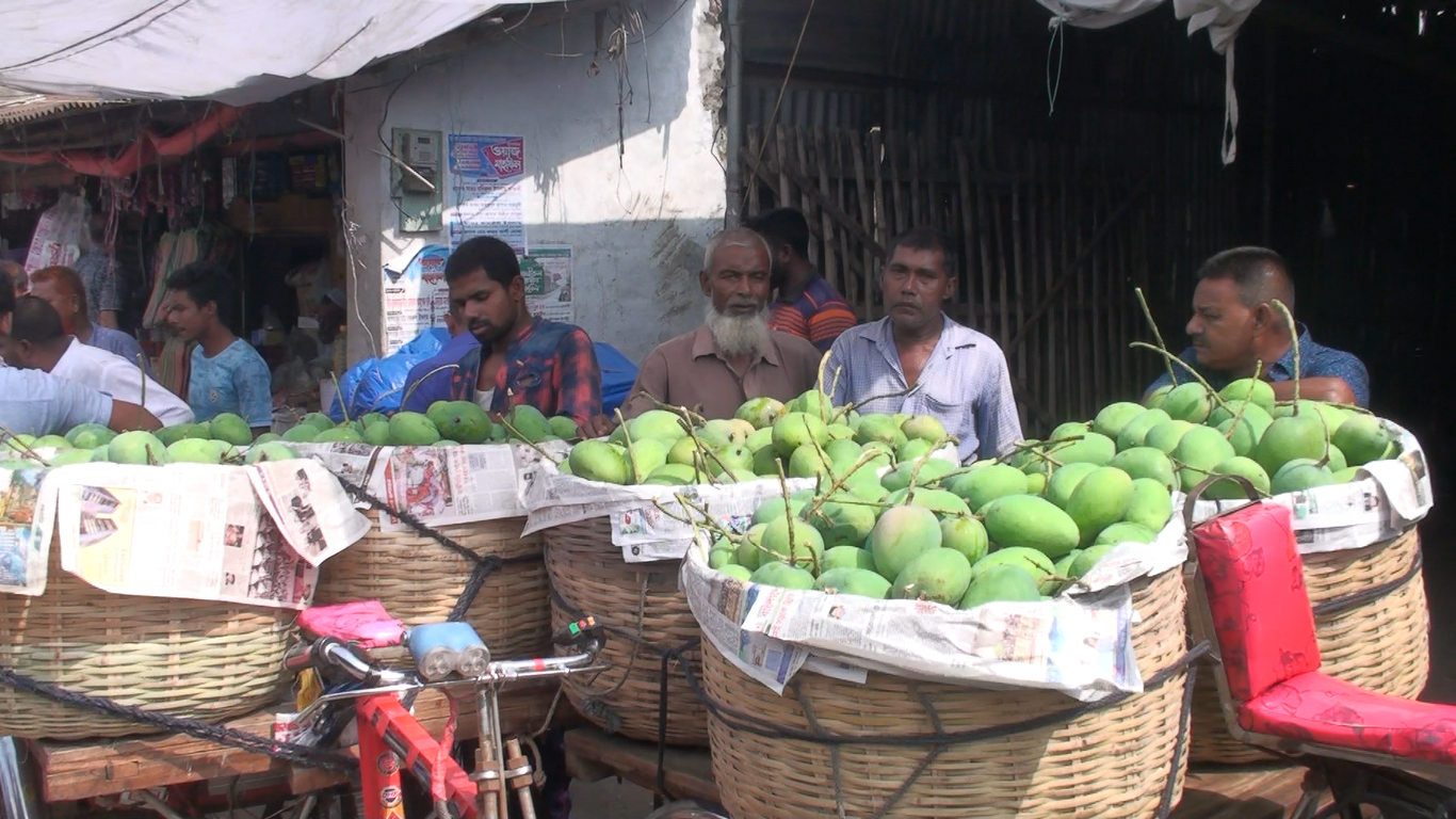 সাতক্ষীরার বাজারে উঠেছে নানা জাতের আম।