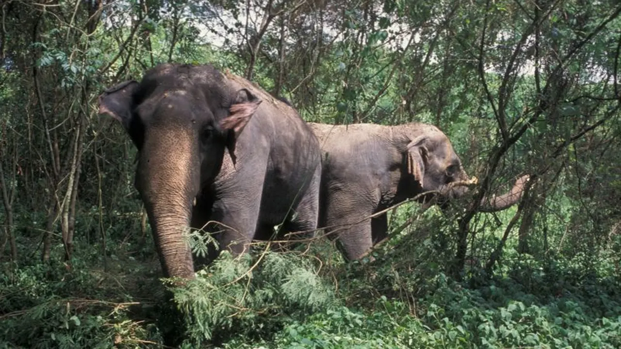 প্রতীকী ছবি
