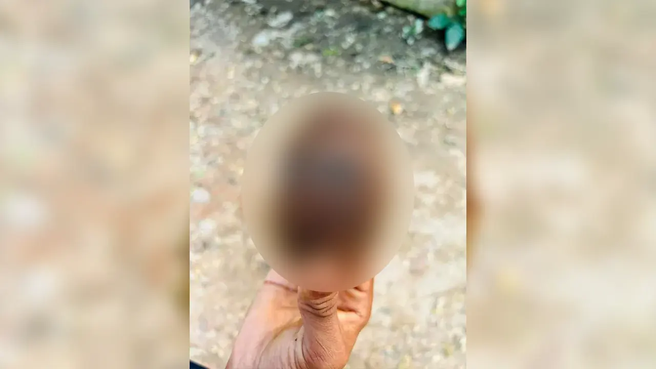বীর মুক্তিযোদ্ধার কবর খুঁড়তে গিয়ে মিলল গ্রেনেড সদৃশ্য বস্তু। ছবি : কালবেলা