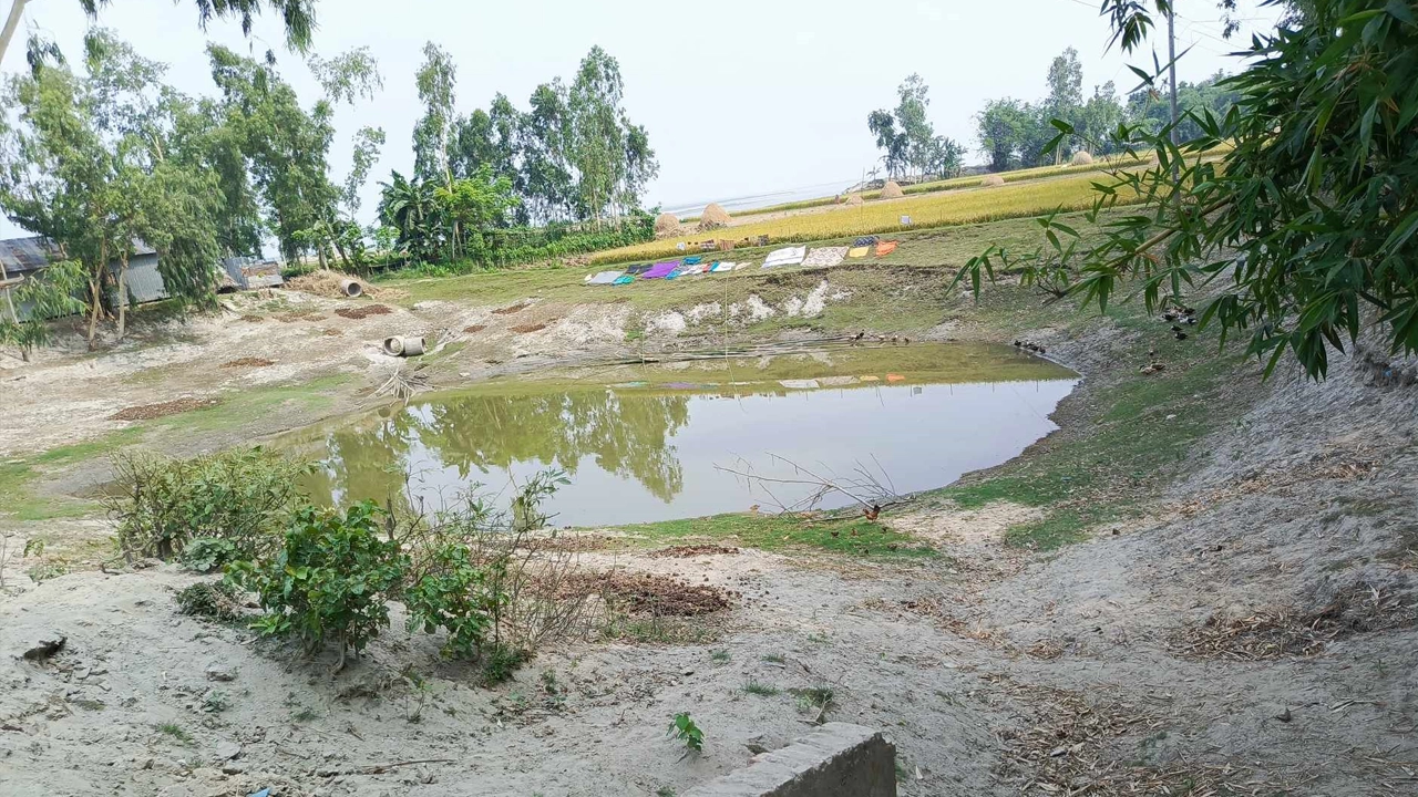 উলিপুরের বেগমগঞ্জ ইউনিয়নের সরকারপাড়া এলাকায় একটি পুকুর। ছবি : কালবেলা