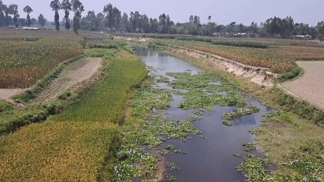 লালমনিরহাটের স্থানীয় একটি নদী। ছবি : কালবেলা