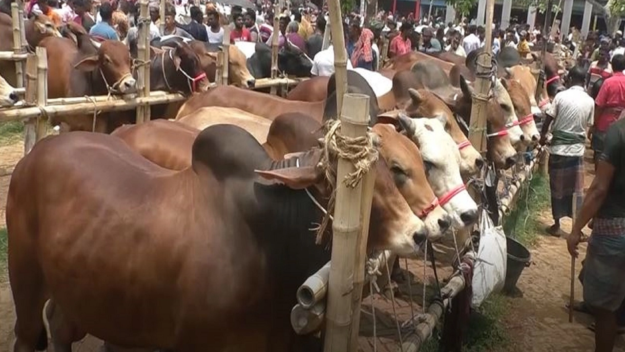 পুরোনো ছবি