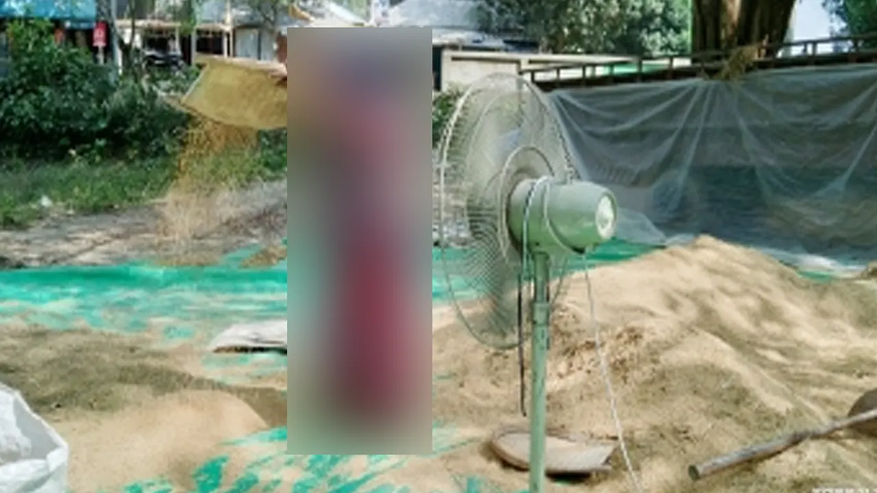 প্রতীকী ছবি।