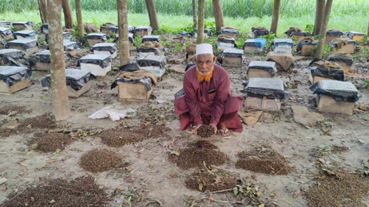 মৃত মৌমাছি নিয়ে হতাশ মৌচাষি। ছবি : সংগৃহীত