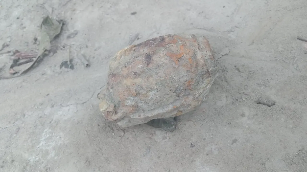 উদ্ধার করা গ্রেনেড। ছবি : কালবেলা