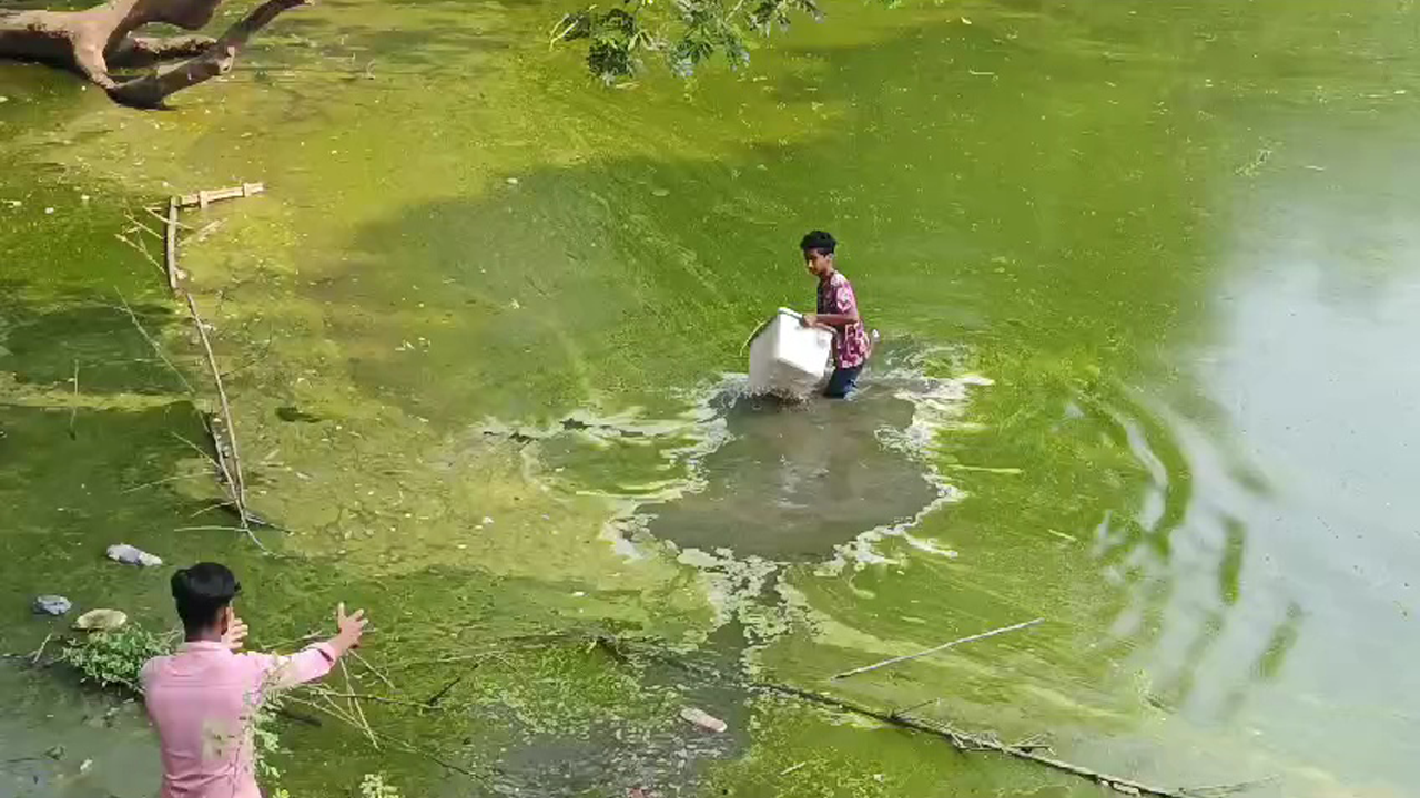 ছিনতাই হওয়া ব্যালট বাক্স পুকুর থেকে উদ্ধার। ছবি : কালবেলা