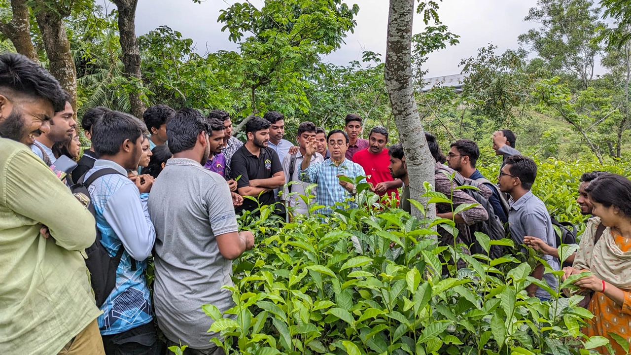 শাবি শিক্ষার্থীদের সঙ্গে অধ্যাপক ও চা গবেষক ড. ইফতেখার আহমেদ। ছবি : কালবেলা