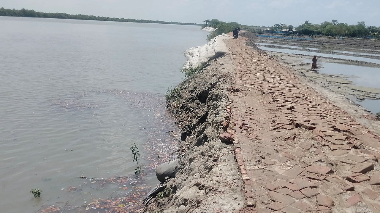 কয়রার উত্তর বেদকাশী ইউনিয়নের শাকবাড়িয়া নদীর তীরবর্তী গাববুনিয়া এলাকার বেড়িবাঁধ। ছবি : কালবেলা