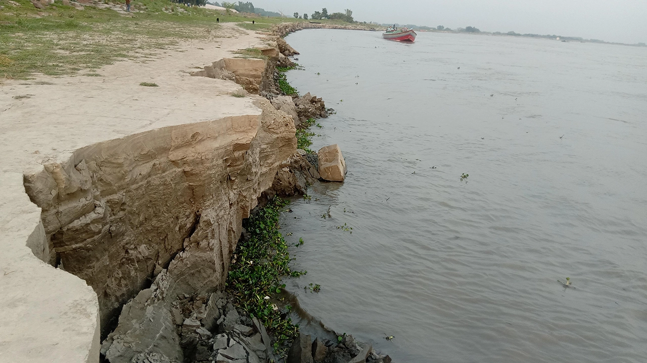 পদ্মা তীরে ভাঙন। ছবি : কালবেলা