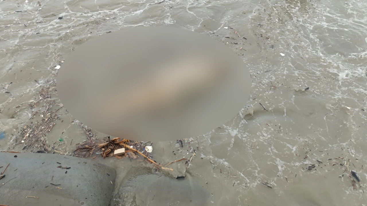 পটুয়াখালীর কুয়াকাটা সৈকতে ভেসে আসা মৃত ইরাবতী ডলফিন। ছবি : কালবেলা