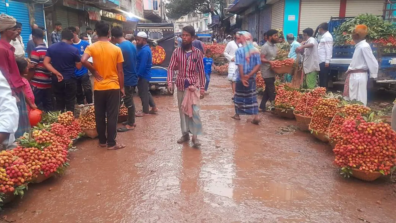 ব্রাহ্মণবাড়িয়ার বিজয়নগরে লিচুর হাটখ্যাত আউলিয়া বাজার। ছবি : কালবেলা