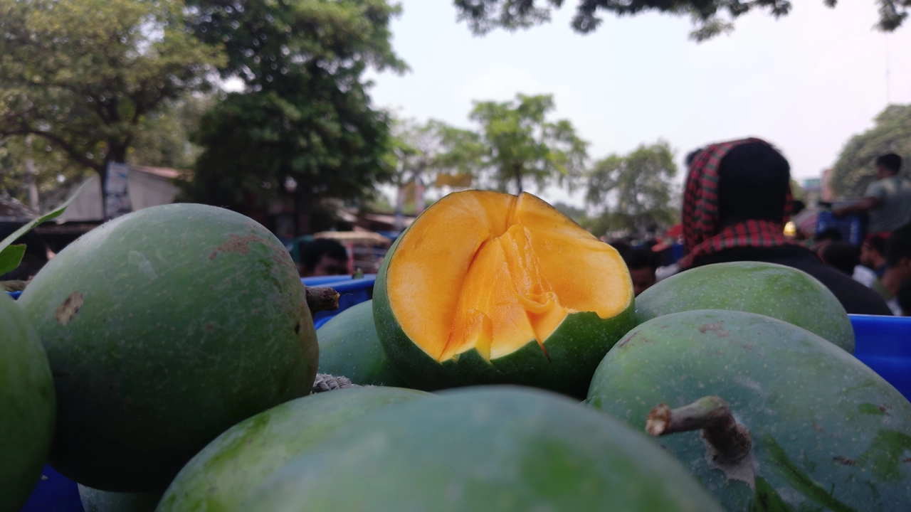 হাটে উঠেছে রাজশাহীর গোপালভোগ আম। ছবি : কালবেলা