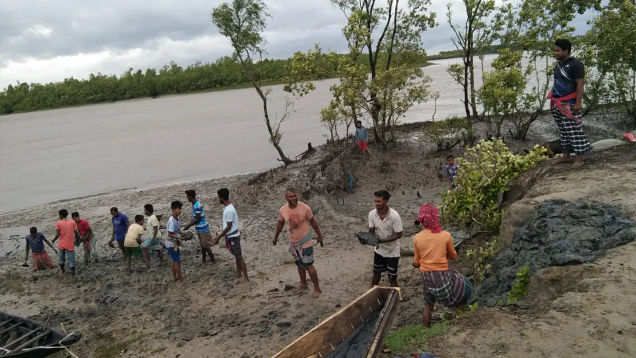 দুর্বল বেড়িবাঁধ মাটি দিয়ে শক্ত করতে ব্যস্ত উপকূলবাসী। ছবি : কালবেলা
