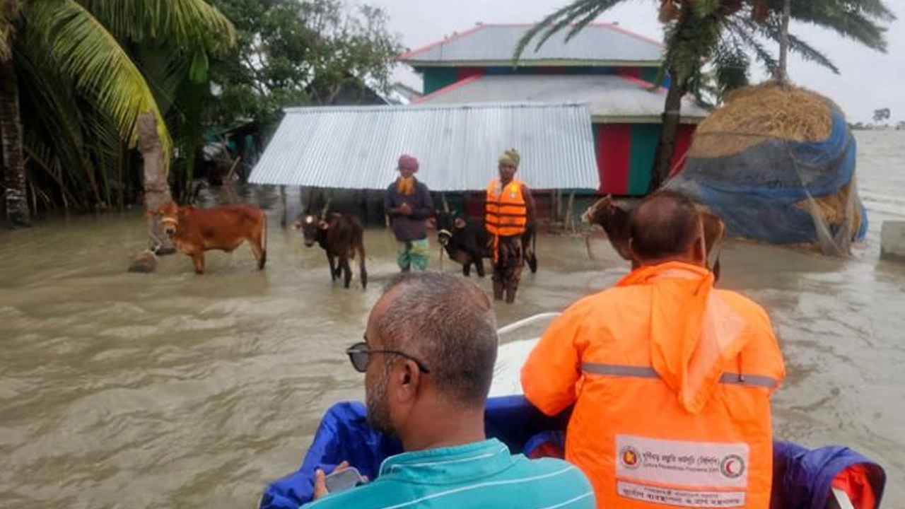গবাদিপশু নিয়ে পানিবন্দি এক বাসিন্দাকে নিরাপদে সরিয়ে নেওয়া হচ্ছে। ছবি : কালবেলা