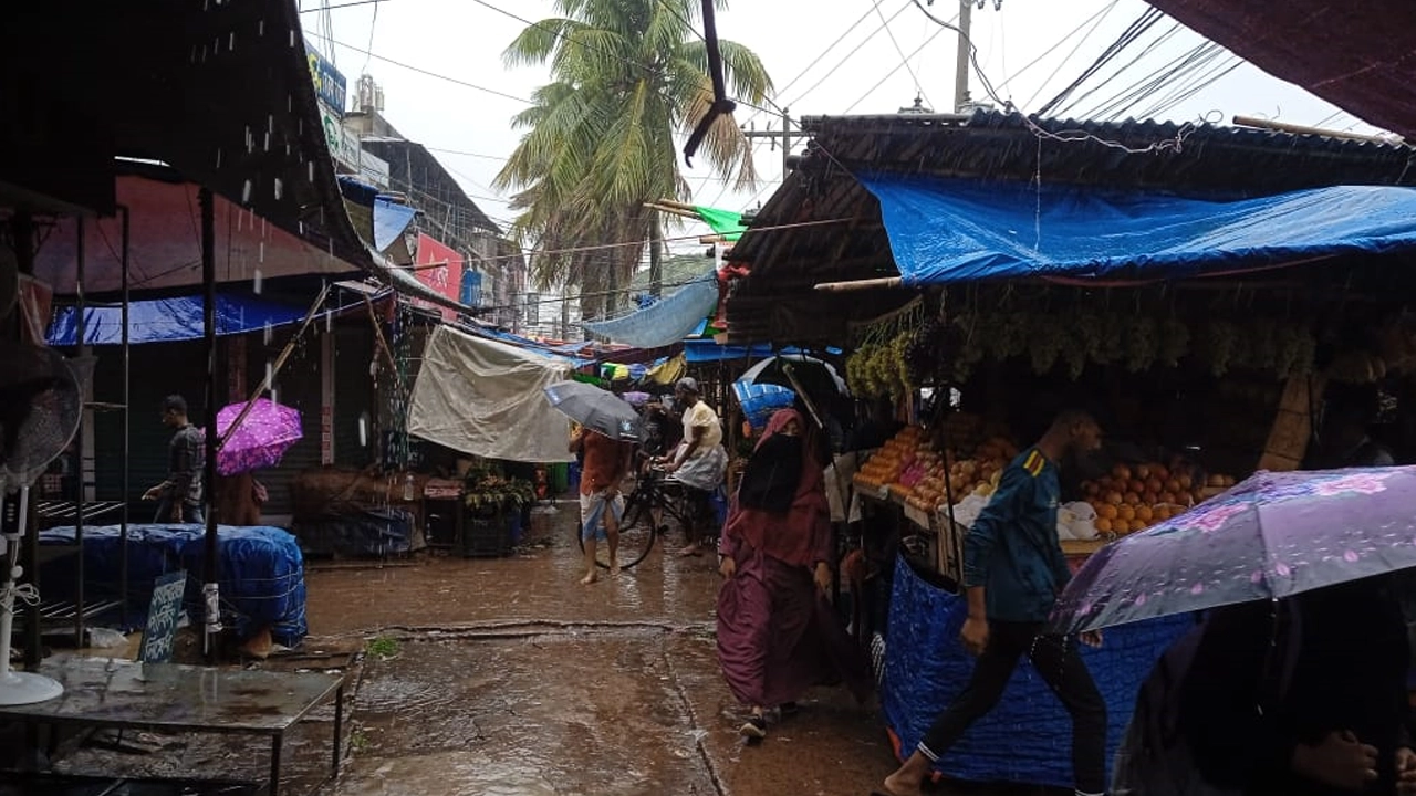 ভোলার বিভিন্ন স্থানে বৈদ্যুতিক লাইনে গাছপালা উপড়ে পড়ায় বিদ্যুৎ সংযোগ বন্ধ রয়েছে। ছবি : কালবেলা