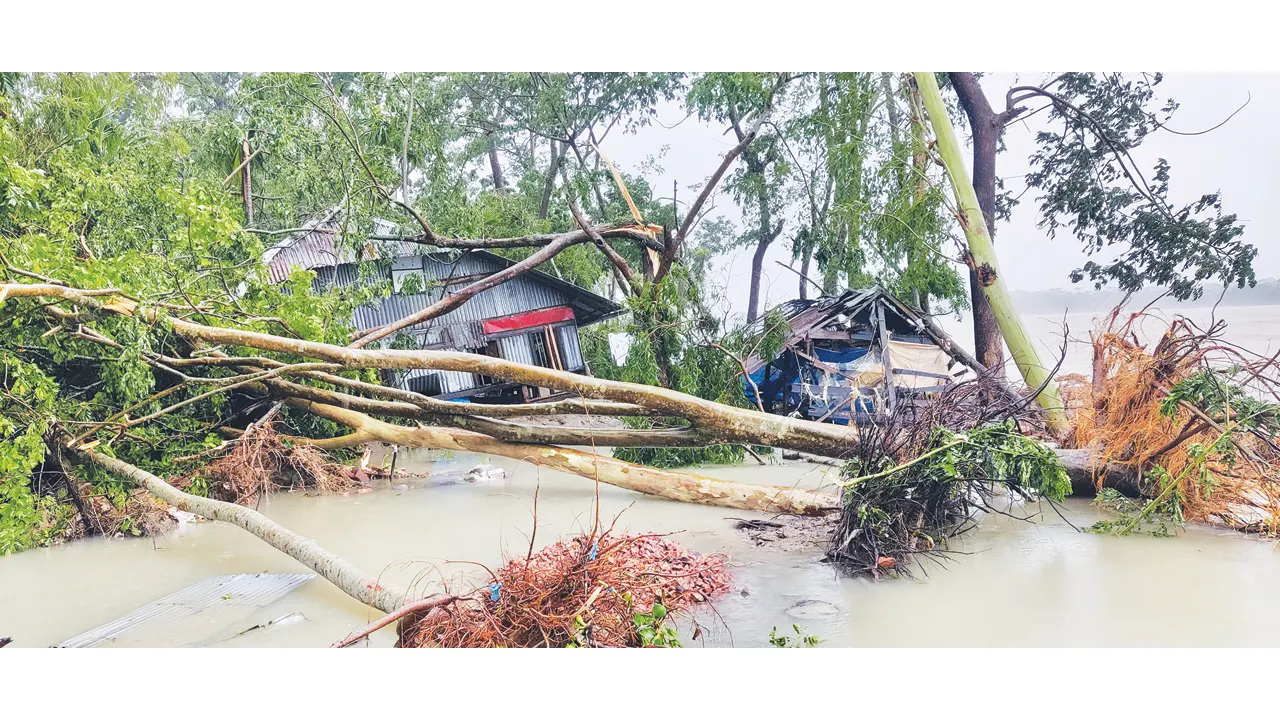 রিমালের তাণ্ডবে ভেঙেছে ঘরবাড়ি, উপড়ে গেছে গাছ, মারা গেছেন অন্তত ১২ জন। ছবি : কালবেলা