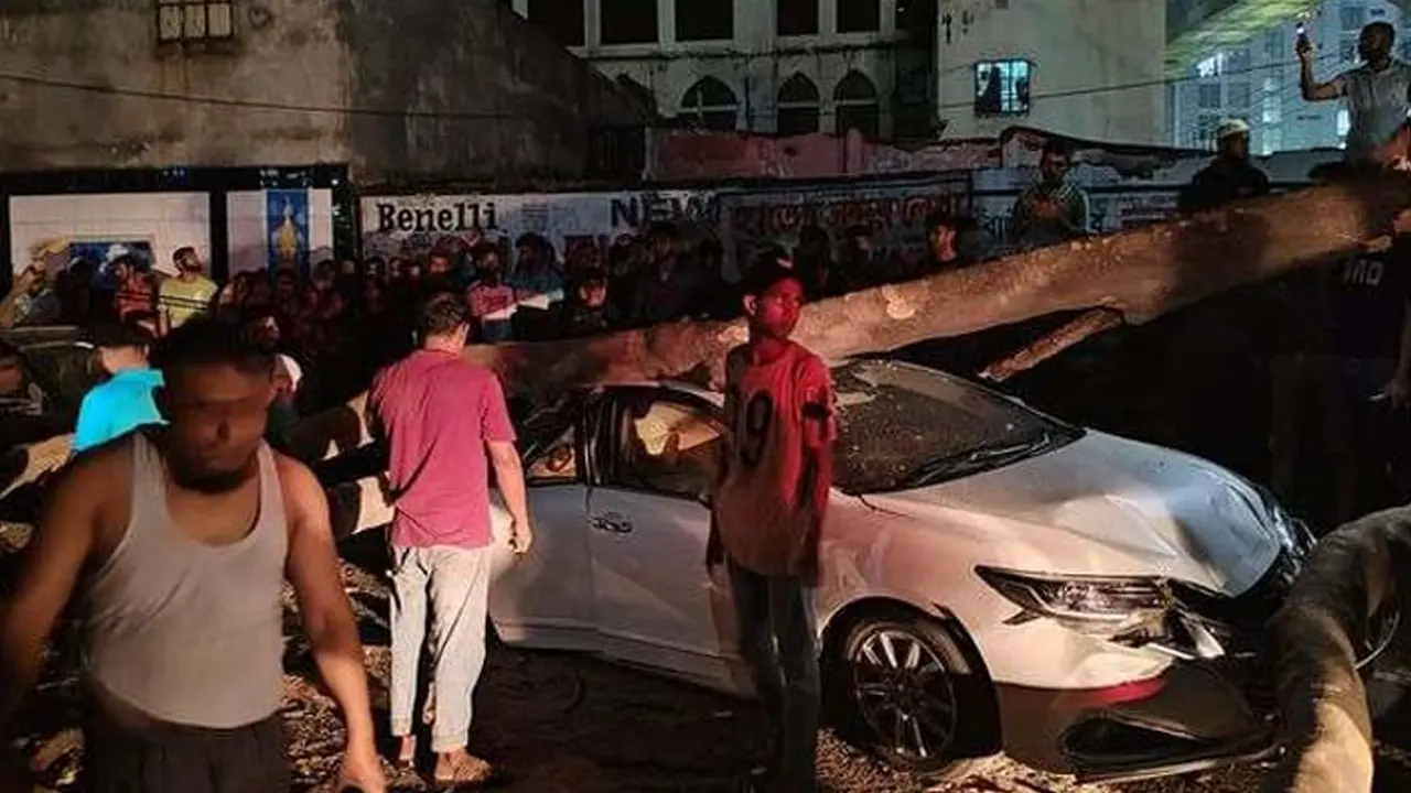 রাজধানীর বাংলামোটরে গাছ ভেঙে পড়ায় দুমড়েমুচড়ে যায় প্রাইভেটকারটি। ছবি : সংগৃহীত