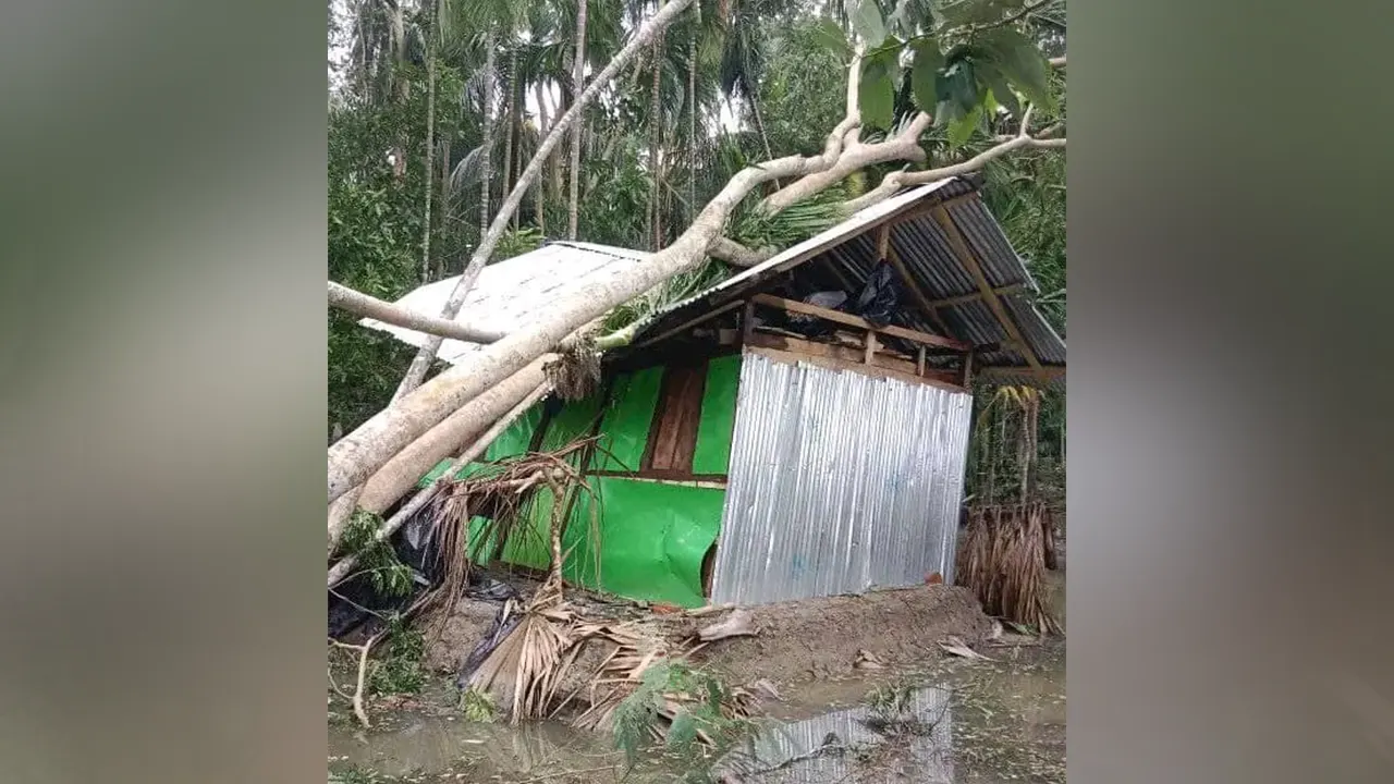 বরগুনার তালতলীতে গাছ পড়ে ভেঙে যাওয়া বাড়িঘর। ছবি : কালবেলা