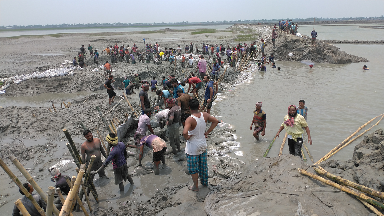স্থানীয়রা সংস্কার করছেন বাঁধ। ছবি : কালবেলা
