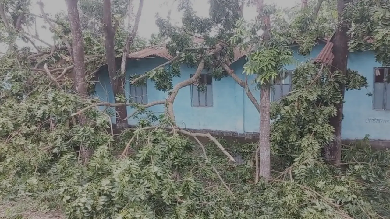 ঝড়ে গাছ ভেঙে পড়ায় ক্ষতিগ্রস্ত ঘরবাড়ি। ছবি : কালবেলা