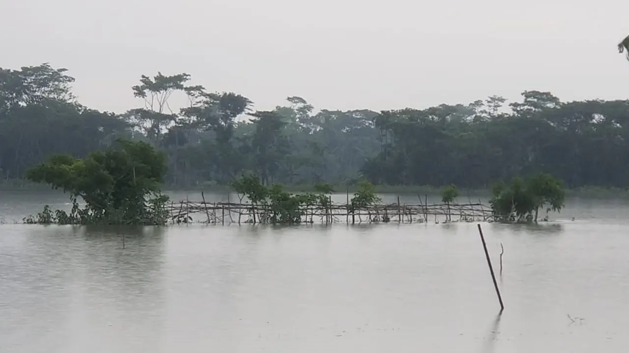 ঘূর্ণিঝড় রিমালের তাণ্ডবে ভেসে গেছে মাছের ঘের। ছবি : কালবেলা