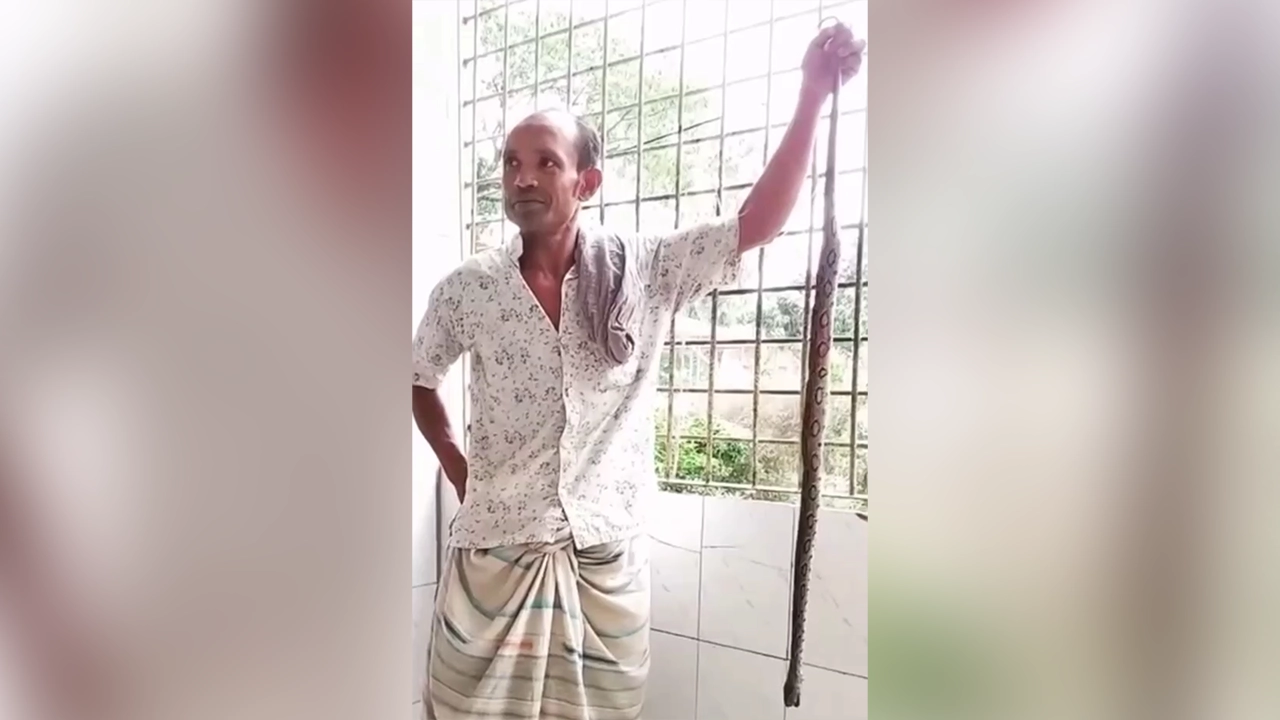 কামড় খেয়ে রাসেল ভাইপার নিয়ে হাসপাতালে কৃষক হেফজুল। ছবি : কালবেলা