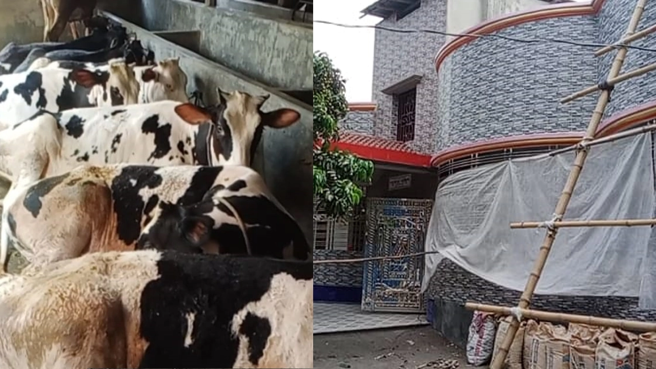 ইউপি সদস্য সোলেমান গনির খামার ও পাঁচ তলা বাড়ি। ছবি : কালবেলা