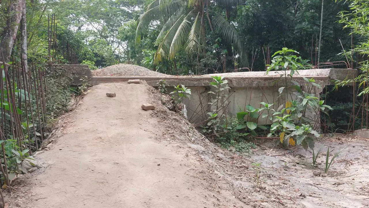 পটুয়াখালীর বাউফলে সংযোগ সড়কবিহীন একটি ব্রিজ। ছবি : কালবেলা